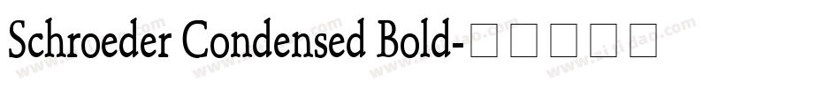 Schroeder Condensed Bold字体转换